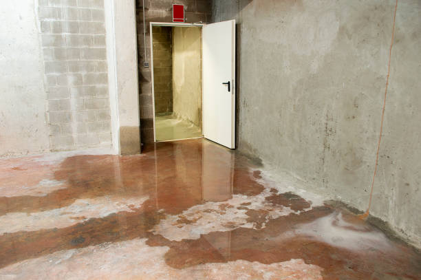 How Basement Waterproofing Helps Prevent Water Damage Larchmont, NY