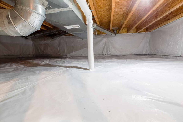 5 Unquestionable Signs Your Home Needs Crawlspace Waterproofing