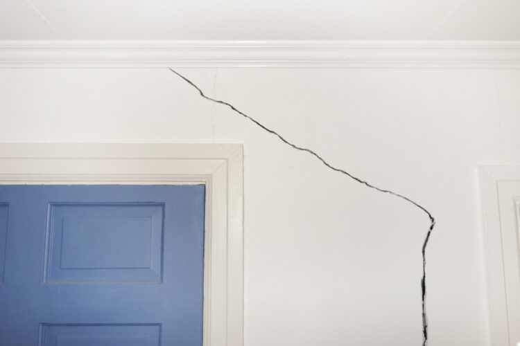 3 Ways Trees and Plants Cause Basement Wall Cracks and What to Do About Them Larchmont, NY