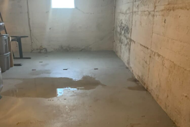 Unwelcome Intruders: The Dangers of Water Leaking into Your Basement and How to Safeguard Your Home