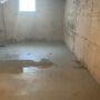 Unwelcome Intruders: The Dangers of Water Leaking into Your Basement and How to Safeguard Your Home