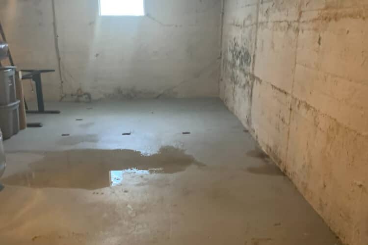 The Dangers of Water Leaking into Your Basement and How to Safeguard Your Home