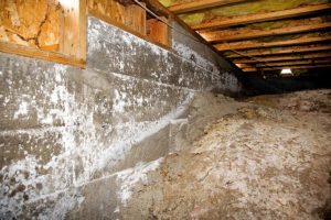 crawlspace-waterproofing-techniques-sundahl-waterproofing-1
